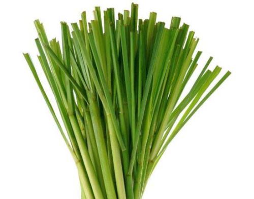 Fresh Lemongrass
