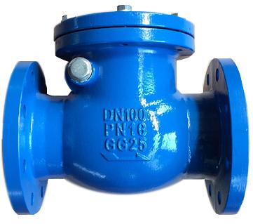 BS Swing Check Valves