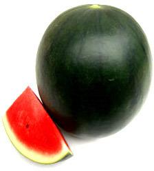 Watermelon Seeds, Certification : Phyto Certoficate