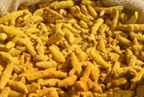 Turmeric Finger