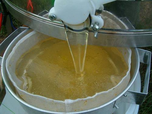 Pure Honey, Grade : A