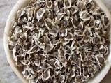 Moringa seeds, Shelf Life : 1 Year