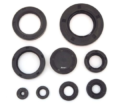 Oil Seal Kit