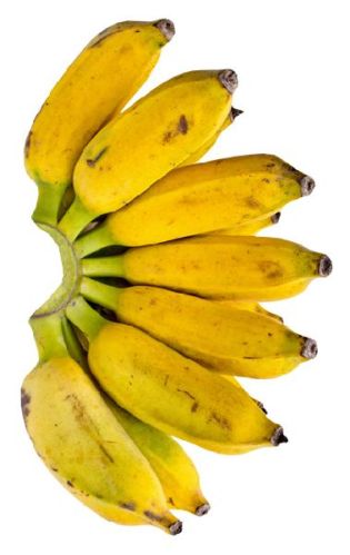 Fresh Yellow Banana
