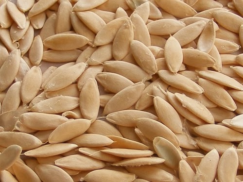 Cucumber Seeds, Color : White