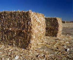 Agricultural Waste