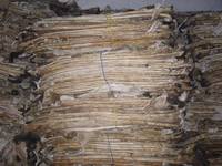 Dry Salted Sheep Skin