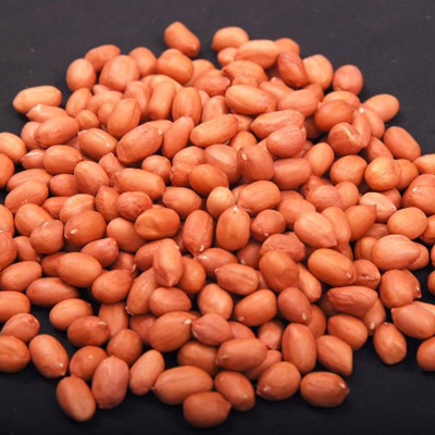 Groundnut, Grade : 40/50
