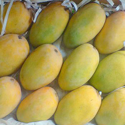 Kesar Mango