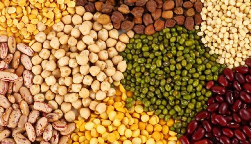 Indian Pulses