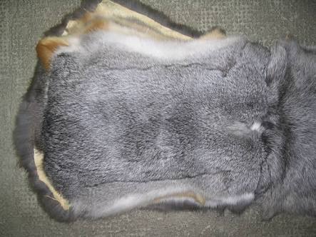 Rabbit Fur