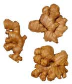 Ginger