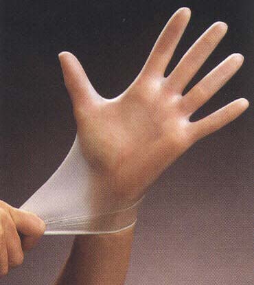 Vinyl Gloves