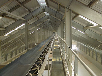 Tripper Conveyor