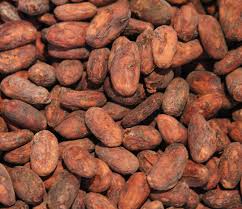 Coffee beans, Variety : Arabica Cherry