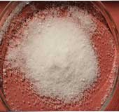 Ammonium Phosphate