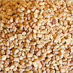 Fenugreek Seeds