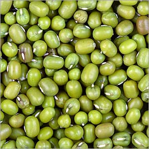 Green Lentil