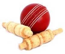 Cricket Balls