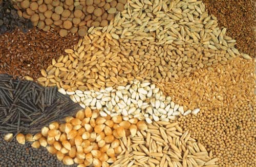 Food Grains