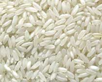 Natural basmati rice, Certification : FSSAI Certified for Food