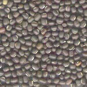 Urad dal, Cultivation Type : Natural