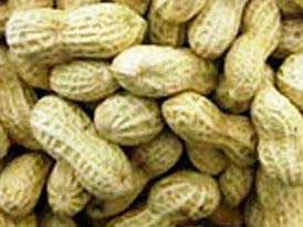 Groundnuts