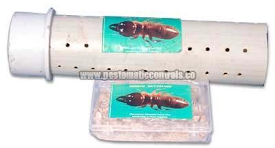 Termite Repellent