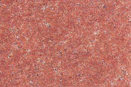 Rectangular Polished Solid Sindoori Red Granite, For Floor, Size : 12x12ft