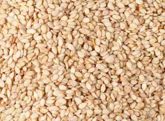 Natural Sesame Seeds