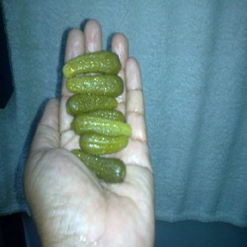 Organic Preserved Gherkins Bulk, Packaging Type : Barrels, Packaging Size : 190 Kg