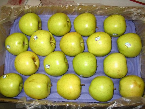 Fresh apple, Packaging Type : 20 Kg,Carton
