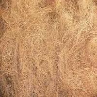 Coco Fibers