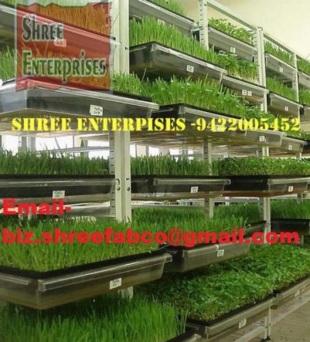 Hydroponic Fodder System