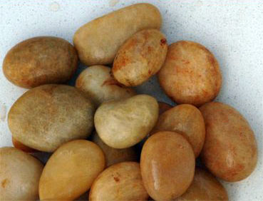 Golden River Natural Pebbles Stones, Size : 12x12ft