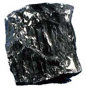 Pine Coal