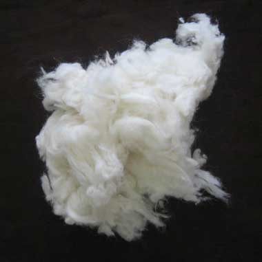 Wool Waste