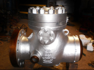 Non return valve, Material : Metal