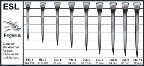 Iron Horseshoe Nails E- Slim