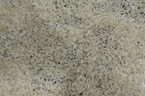 Swarna Rice