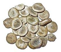 Common Nux Vomica Seeds, For Agriculture, Cooking, Packaging Type : Plastic Packets