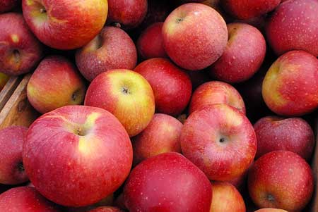 Apple, Organic : Possible, Check Labeling