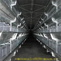 Chicken Coop_shandong Tobetter With High Quality and Famous
