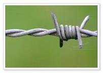 Barbed Wire, Elongation : 10 %
