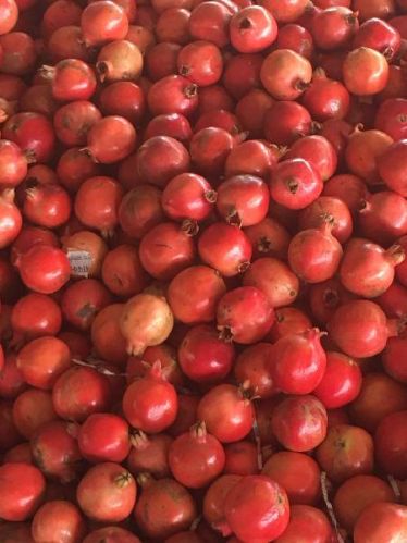 Fresh Pomegranates, Color : Varying Per Season