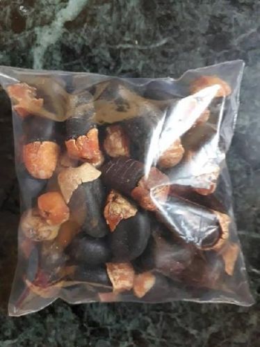 Comboata Draid Seed With Fruits, For Agriculture, Food, Packaging Type : Plastic Packets