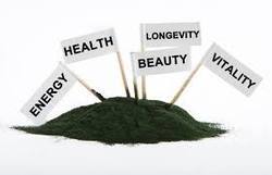 Natural Spirulina Powder