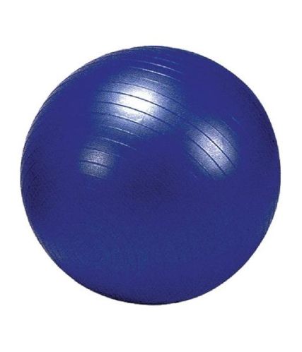 65 Cm Prokyde Gym Balls