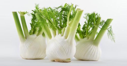 Fresh Fennel, For Home, Packaging Type : Plastic Packet