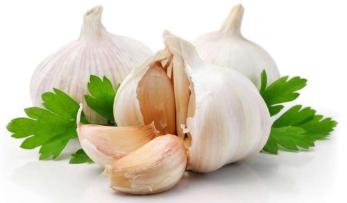 Organic Fresh Garlic, For Cooking, Feature : Dairy Free, Gluten Free